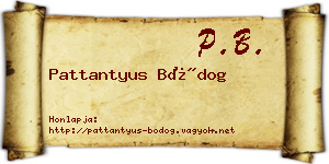 Pattantyus Bódog névjegykártya